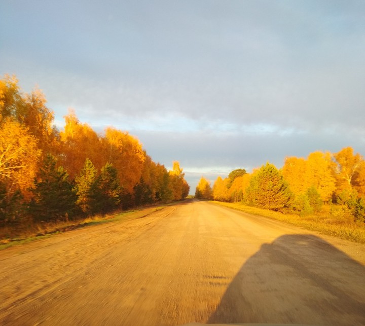 Золотая осень