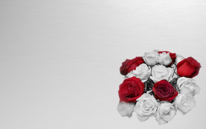 roses