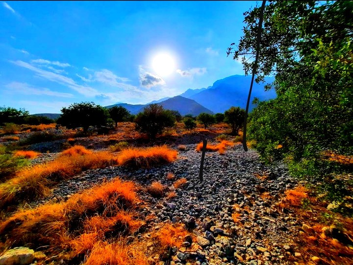 beautiful nature