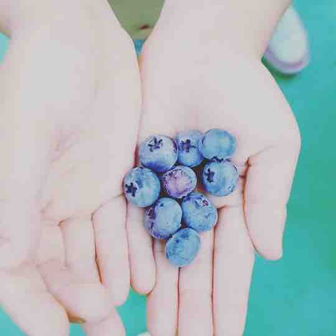 blueberry
