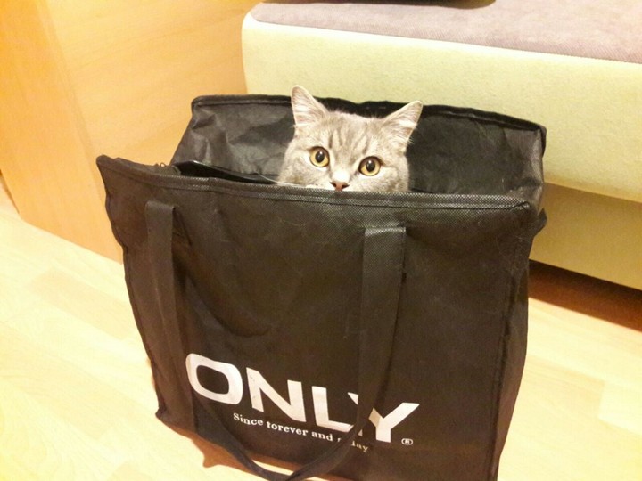 Marcel bei auspacken