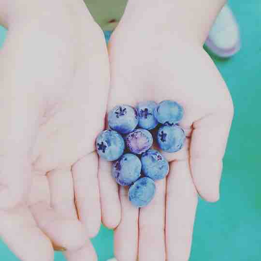 blueberry