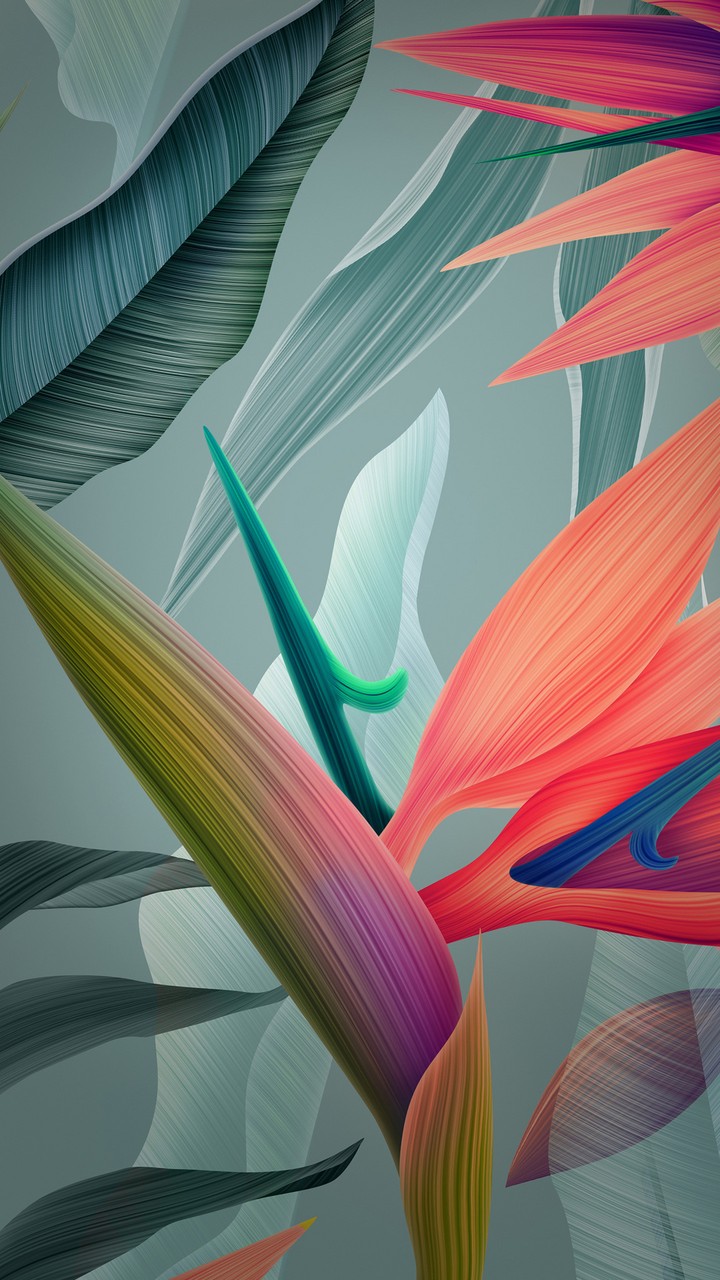 flower