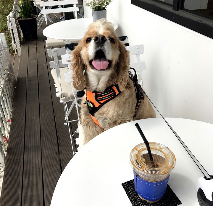 moka in cafe