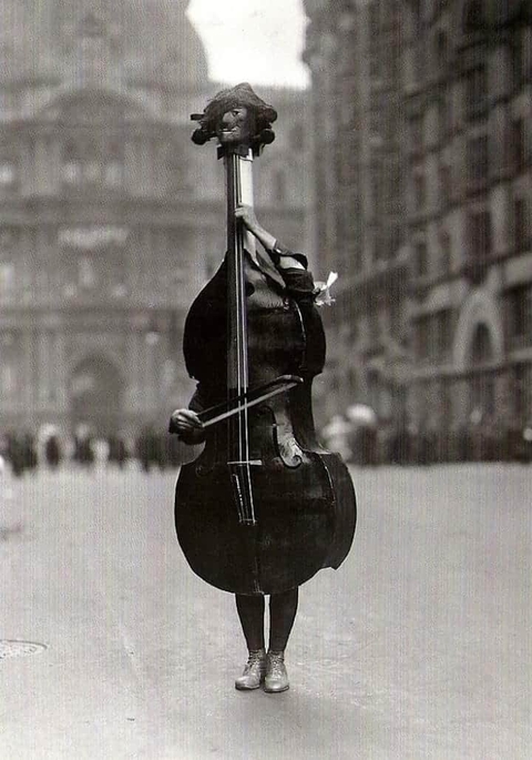 violone, tololoche háttérképek