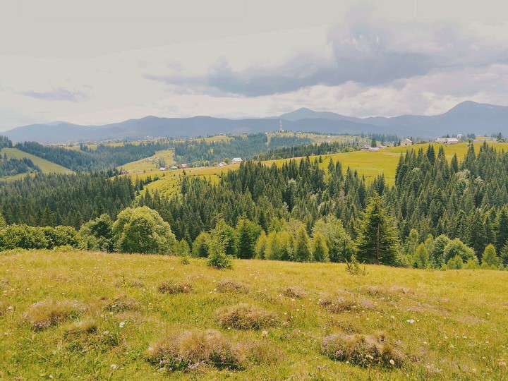 Карпаты