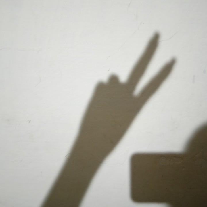 Shadow ♡