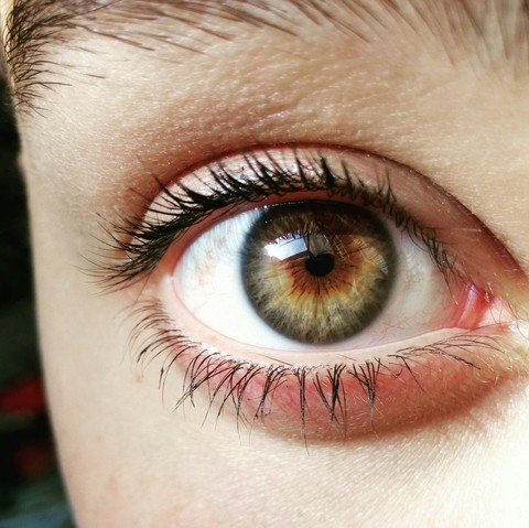 fondos de pantalla head, eyelash