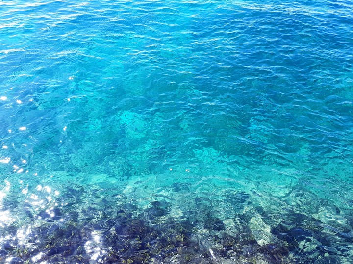 sea