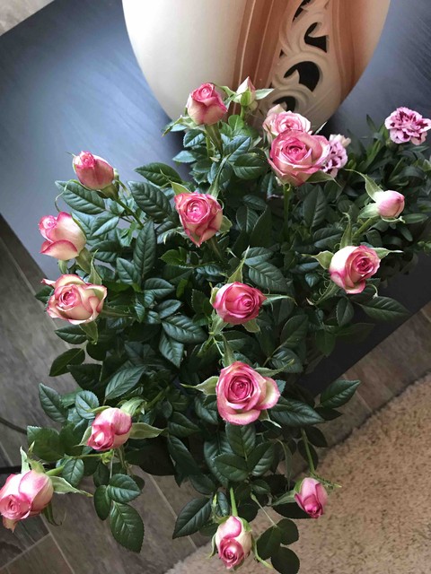 Roses??