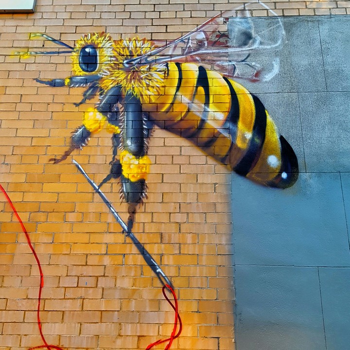 endangered bee