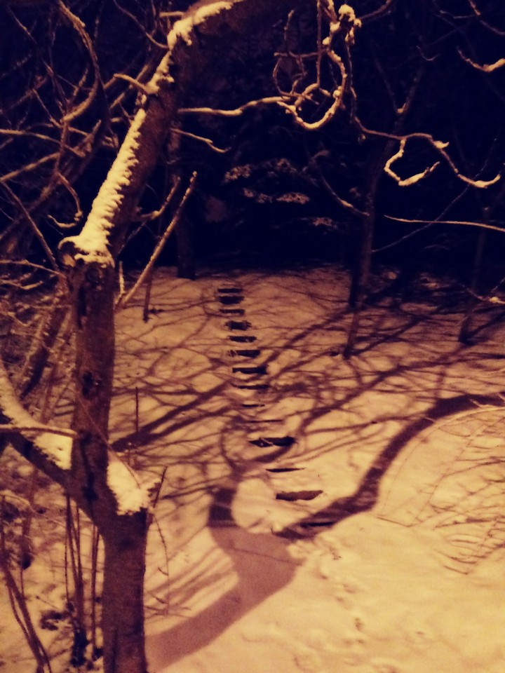 StairsAtSnowingNight