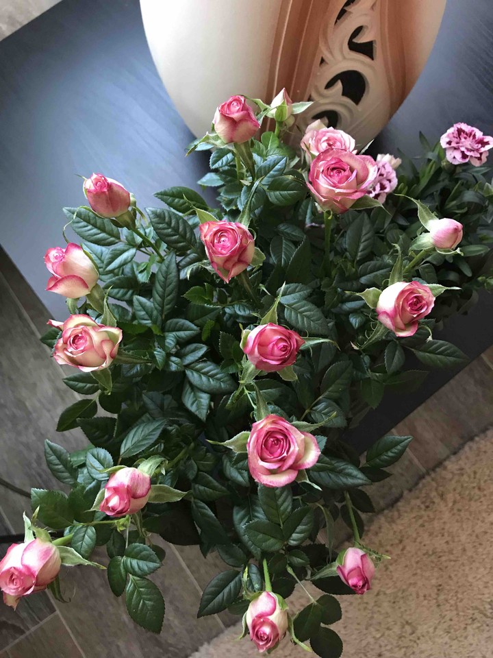 Roses??