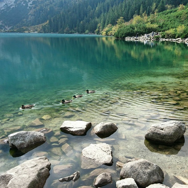 Morskie Oko