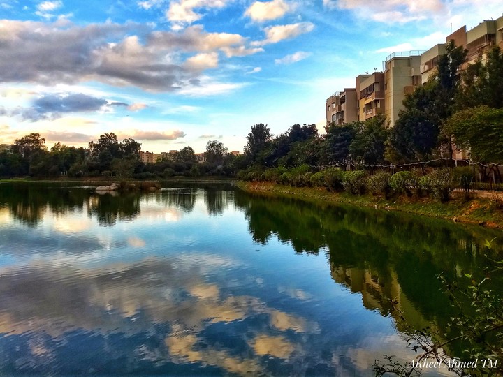 Lake view