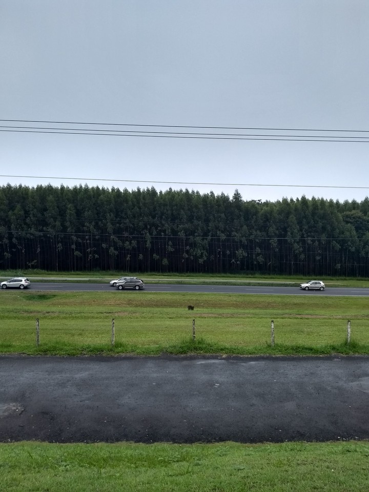 A road on a rainy day