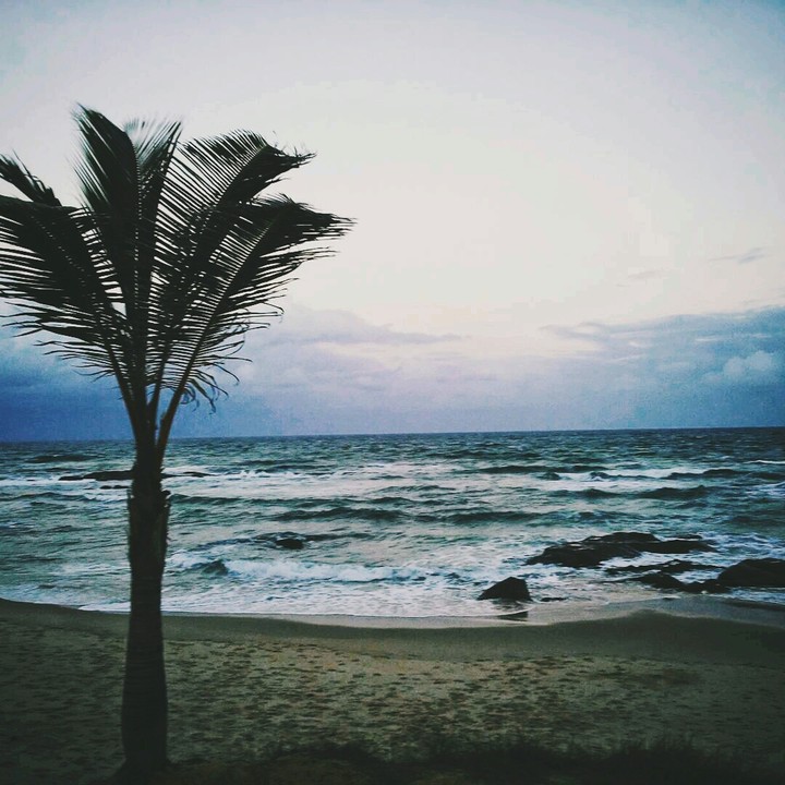 The Sea