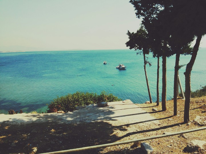 didim