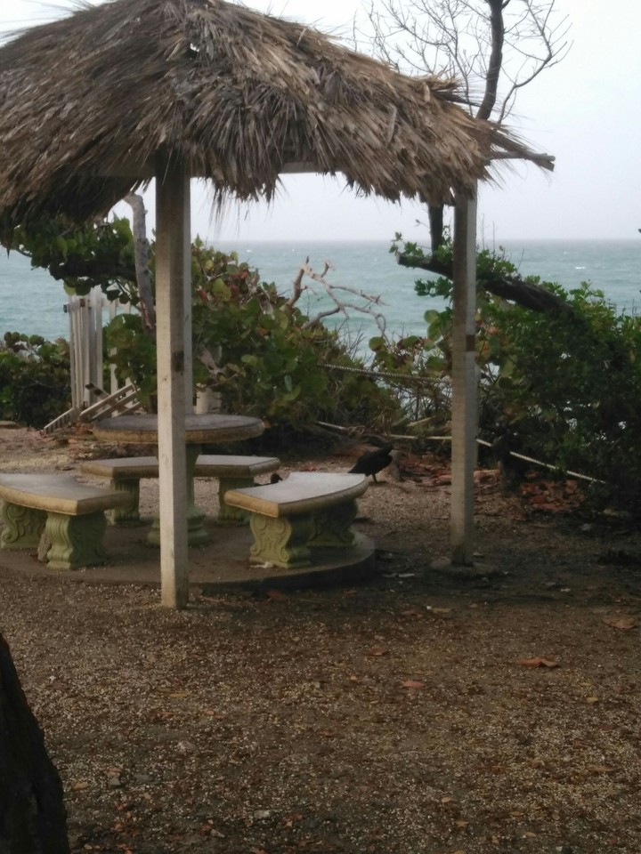 Rustic Trinidad
