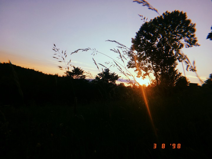 nature