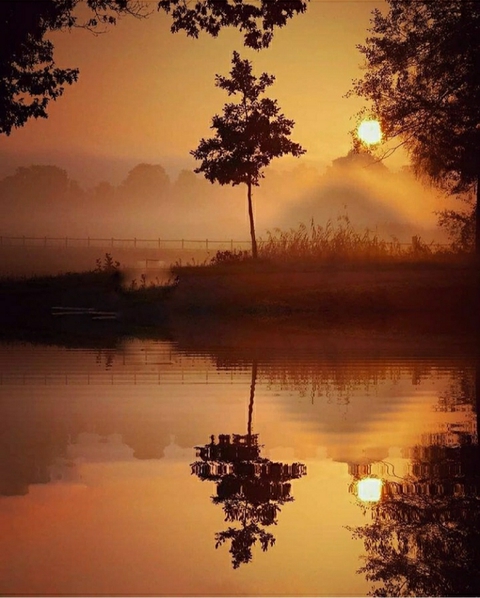 morning