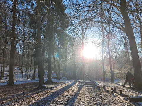 Zweden