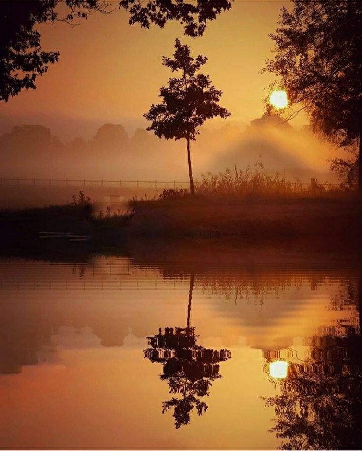 morning