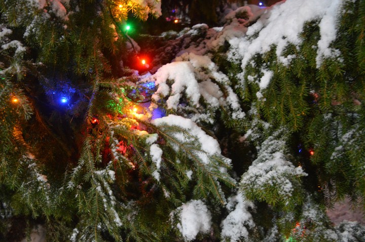 Christmas tree