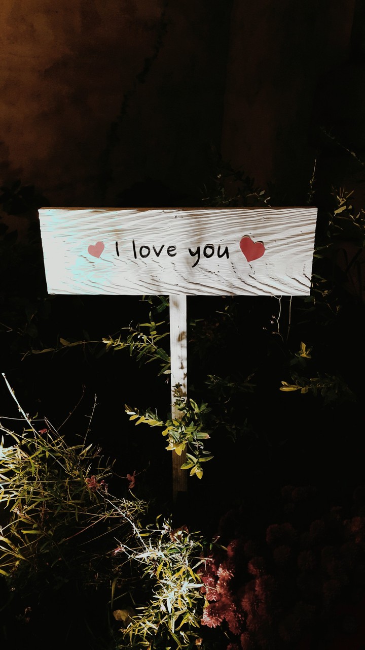 love you