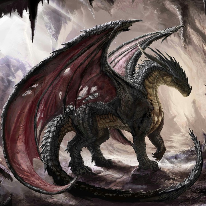 Black dragon. EA