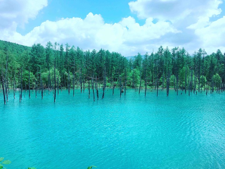 北海道 青池