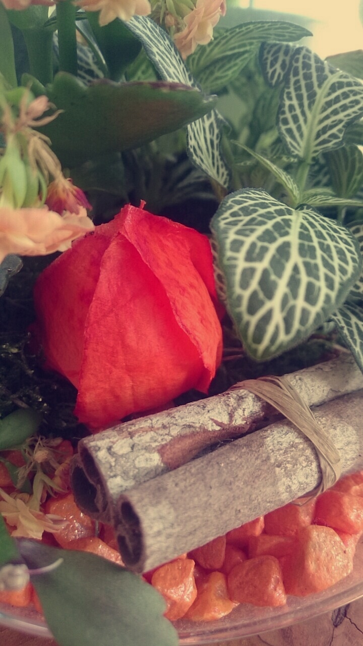 autumn