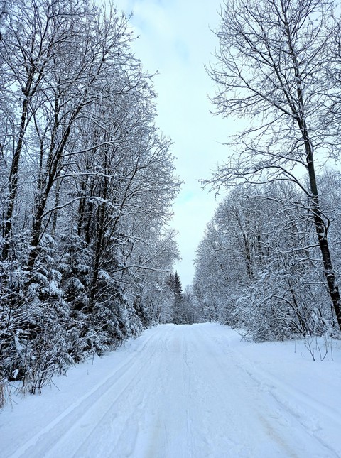 Зимняя дорога
