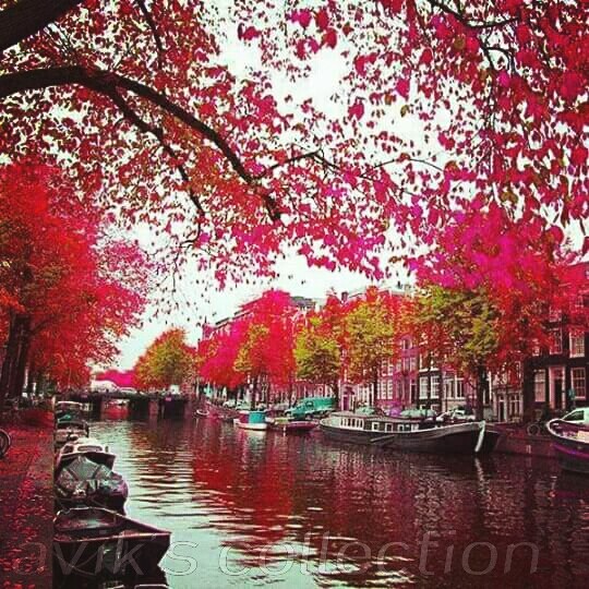 the nature