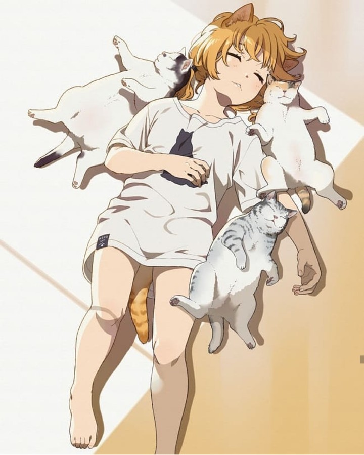 Anime ~