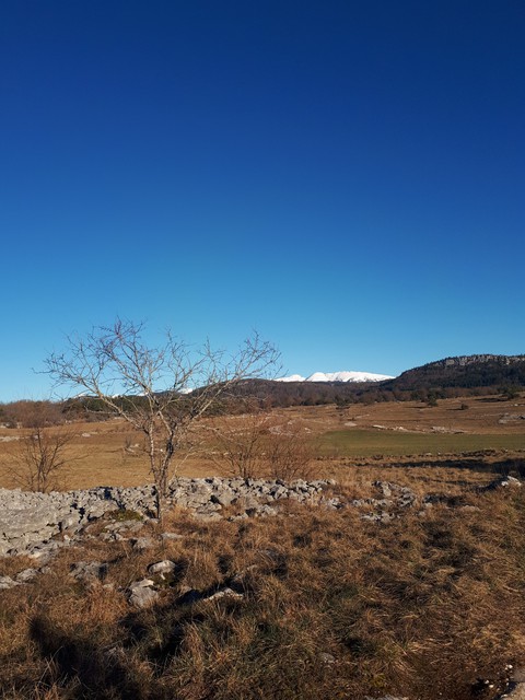vacances en Auvergne