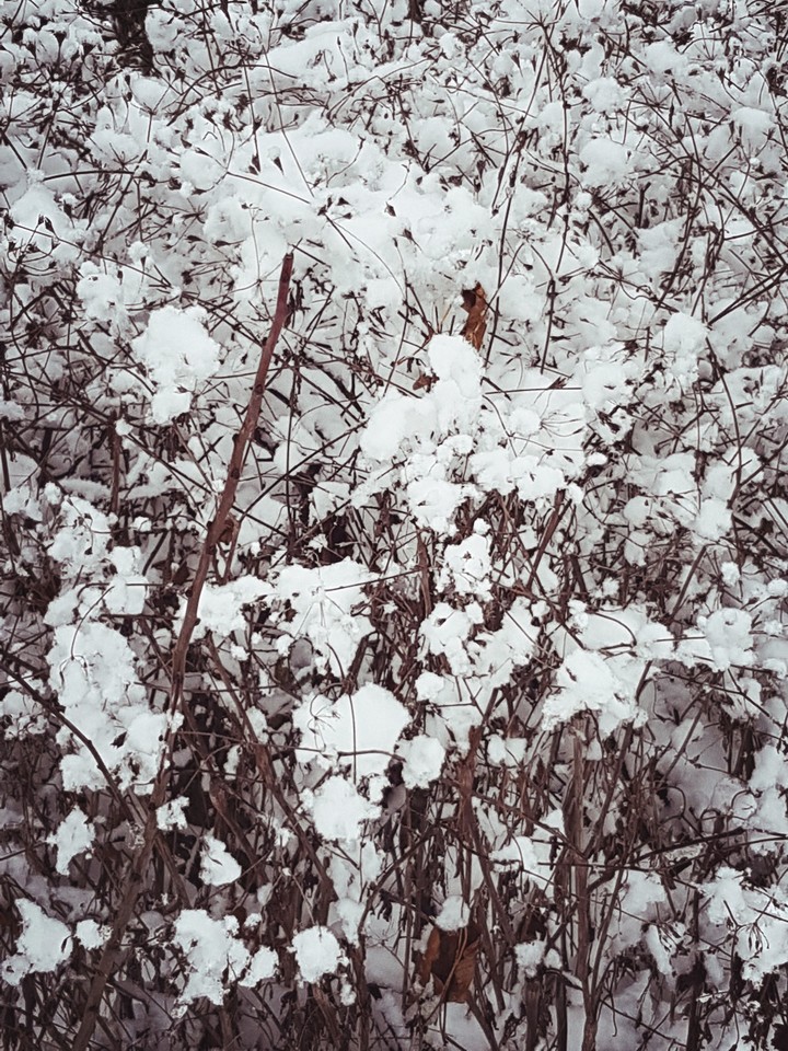 Schneefall