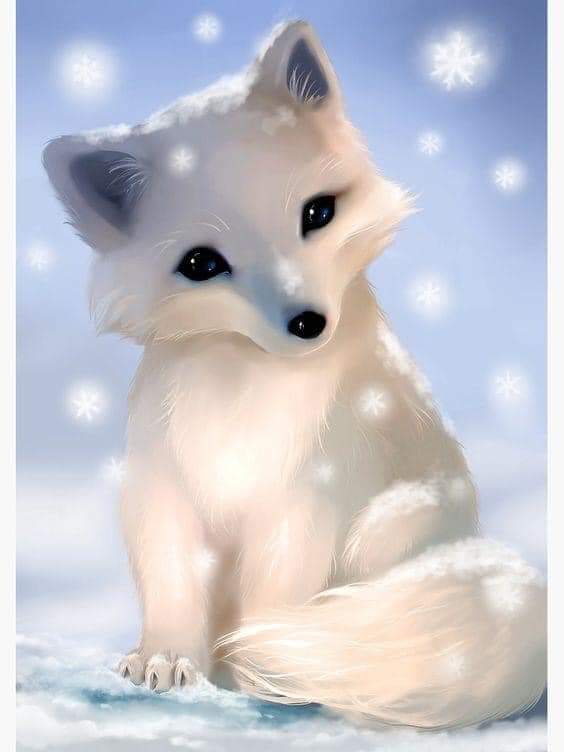 cute fox