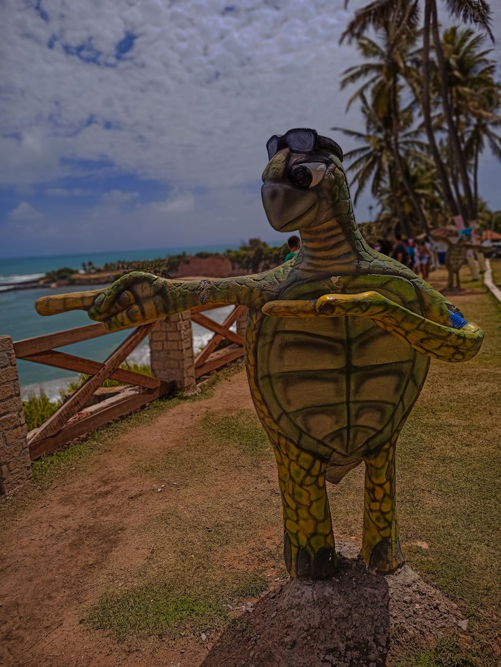 Turtle