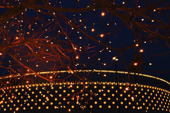 Fireflies