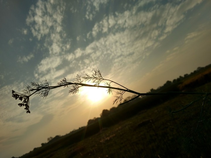good