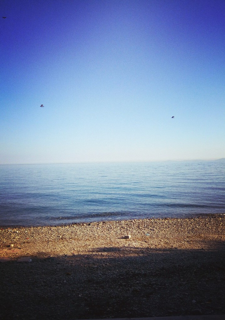 Deniz