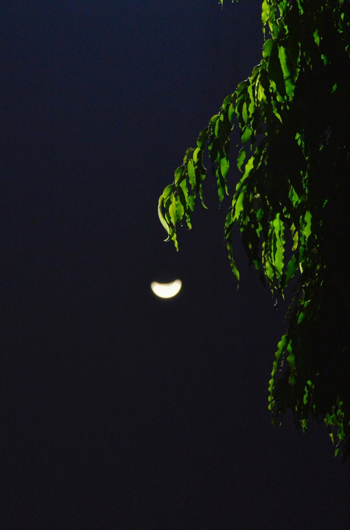 Night