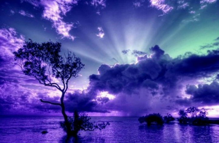 Purple Sky