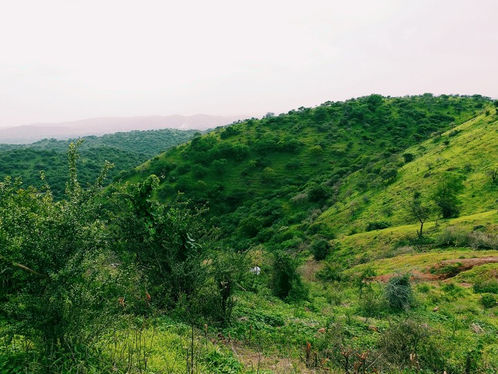 green