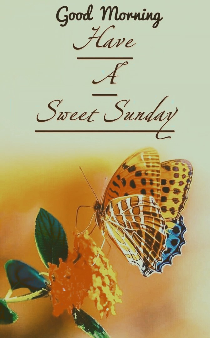 good morning