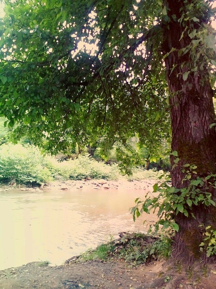 Pretty World
