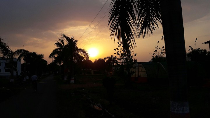 beauty of sun