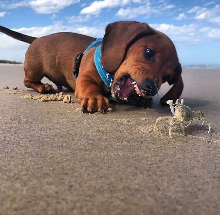 .