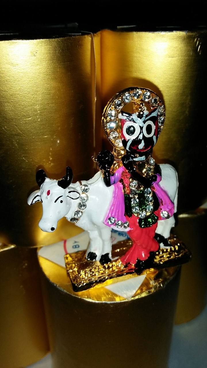 Krishna jagannath